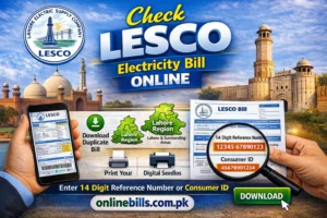 LESCO Electricity Bill Online with 14 Digit Reference Number and Customer ID - Download and Print