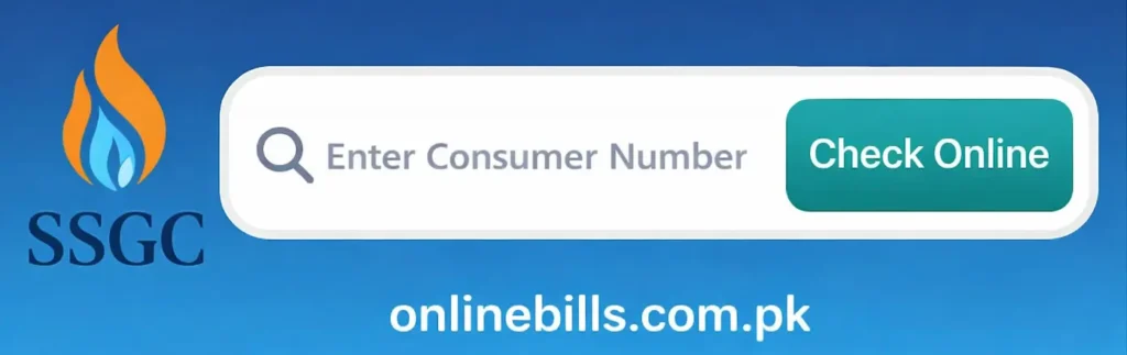 SSGC duplicate bill online check using 10 digit consumer number.